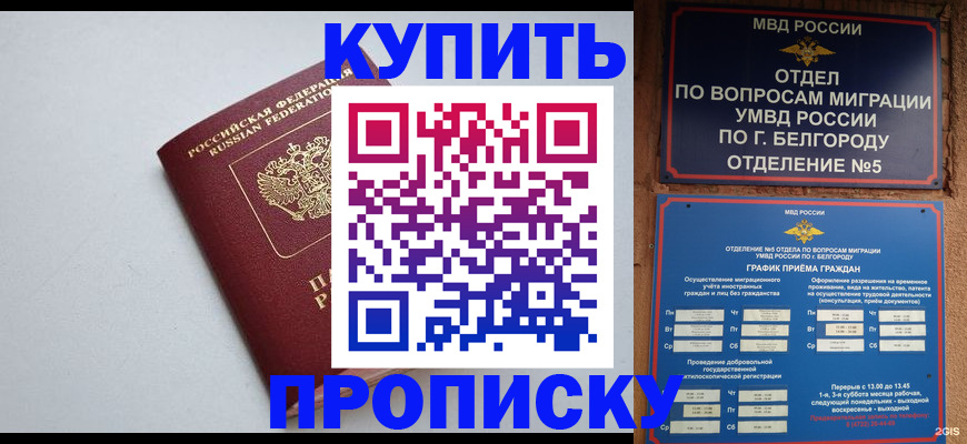 прописка регистрация в Оби